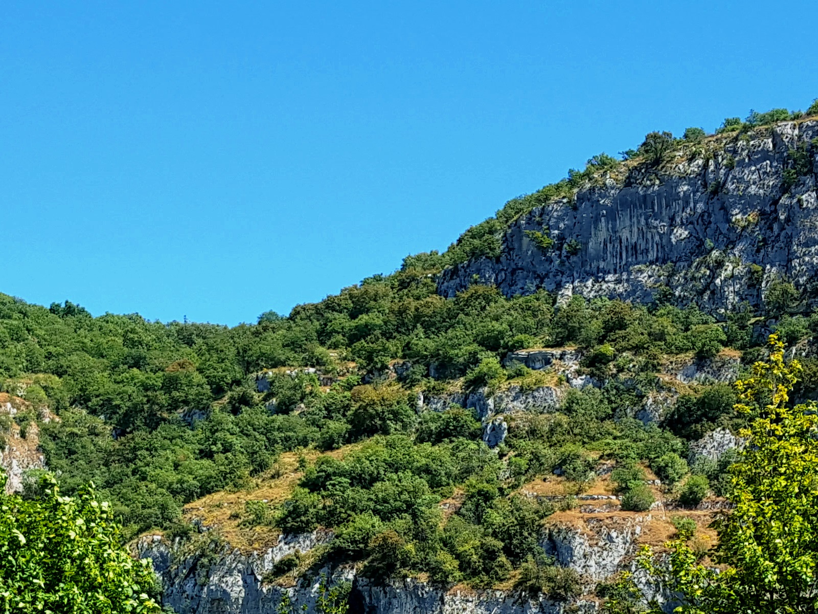 Area verde attrezzata